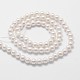 Cuentas perlas de concha de perla X-BSHE-L025-01-4mm-2