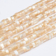 Fili di perle di conchiglia trochid naturale / trochus SSHEL-L016-13-2