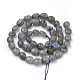 Chapelets de perles en labradorite naturelle  G-Q952-12-6x8-2