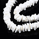 Shell normal de perles blanches de brins X-SSHEL-S266-029-3