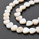 Eau douce naturelle de coquillage perles brins SHEL-S276-70-4