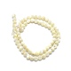 Perles de coquillage blanc naturel G-O171-09-6mm-2