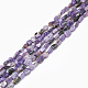 Natural Charoite Beads Strands G-S301-13-1
