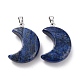 Lapis lazuli naturale ciondoli G-Z022-02N-2