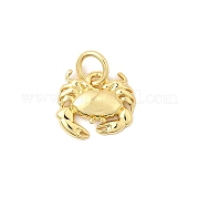 Латунь подвески KK-I364-06G-02