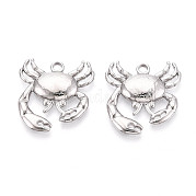 Подвески из нержавеющей стали 304 STAS-T065-67P