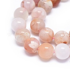 Chapelets de perles en agate naturelle de fleurs de cerisier&nbsp;G-I249-B01-02