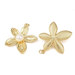 Pendentifs en laiton&nbsp;KK-L255-23G-02