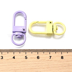 Drehverschlüsse aus spritzlackierter Legierung&nbsp;PALLOY-A022-04