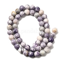Fili di perline di diaspro naturale a strisce viola&nbsp;G-K350-C03-8mm-01