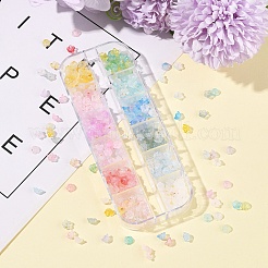 19.2 g 12 Farben mattierte transparente Acrylperlen&nbsp;OACR-FS0002-18