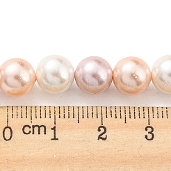 Fili di perle di conchiglie galvanizzate&nbsp;SHEL-F008-03B-06