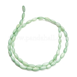Hebras naturales de cuentas de concha de agua dulce&nbsp;X-SHEL-C010-01A