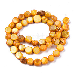 Naturali di acqua dolce perline shell fili&nbsp;SHEL-S276-110B-08