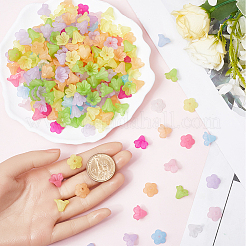 500 tapa de cuentas acrílicas de 10 colores.&nbsp;TACR-SP0001-08