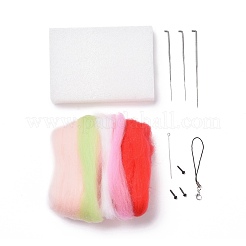 Kit de feutrage à l'aiguille de décoration de pendentif bricolage&nbsp;DIY-C051-05