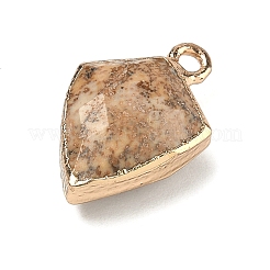 Natur Bildjaspisses Anhänger&nbsp;G-K422-01G-10