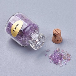 Flaschen mit natürlichen Edelsteinsplitterperlen&nbsp;G-S049-2-B