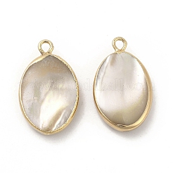 Natürliche Trochus-Muschel-Anhänger&nbsp;PEAR-P004-49KCG