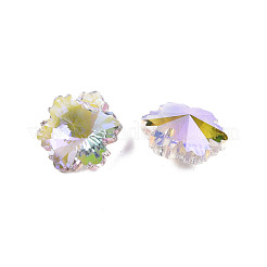 Charms in vetro elettrolitico&nbsp;EGLA-N006-058
