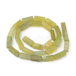 Natürlichen Peridot Perlen Stränge&nbsp;G-Q949-003