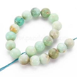 Brins naturels de perles de chrysoprase&nbsp;G-S333-10mm-037