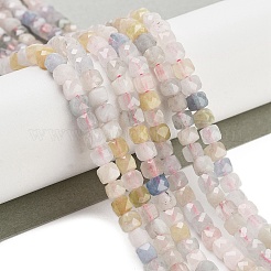 Naturperlen Stränge morganite&nbsp;G-H042-A05-02