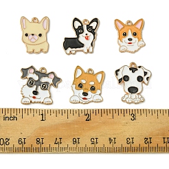 12pcs 6 Arten Legierungsanhänger&nbsp;ENAM-FS0001-81