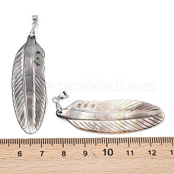 Natürliche geschnitzte Anhänger aus schwarzer Lippenmuschel&nbsp;KK-C135-06B