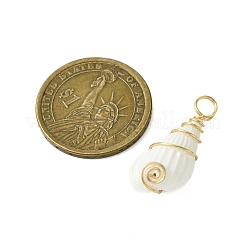 Pendentifs en coquille de trompette naturelle&nbsp;PALLOY-JF02794-01
