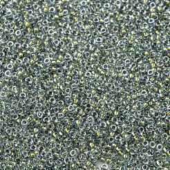 Miyuki runde Rocailles Perlen&nbsp;X-SEED-G009-RR3201