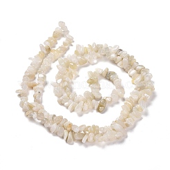 Natürliche weiße Mondstein-Chip Bead Stränge&nbsp;X-G-M205-68