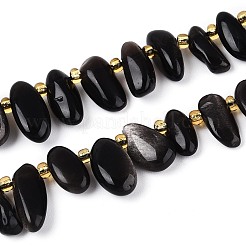 Natürliche silberglänzende Obsidian-Perlenstränge&nbsp;G-Z091-A38