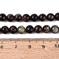 Perline biotite naturale fili&nbsp;G-Q616-01B