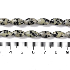 Natur Dalmatiner Jaspis Perlen Stränge&nbsp;G-K362-I14-06