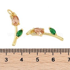 Porte micro ouvrent pendentifs zircone cubique en laiton de placage&nbsp;KK-R166-09G-03