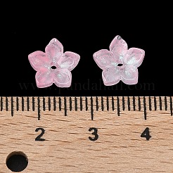 Embouts de perles de verre teints et chauffés&nbsp;X-GLAA-Z019-02A