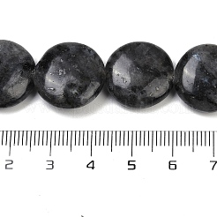 Fili di perline di larvikite naturale&nbsp;G-U018-I08-01