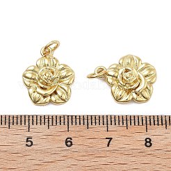 Messing Anhänger & Charms&nbsp;KK-Q006-04G