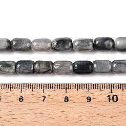 Natürliche Adlerauge Steinperlen&nbsp;G-G980-43