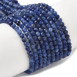 Chapelets de perles en sodalite naturelle&nbsp;G-D306-A01-2mm-B