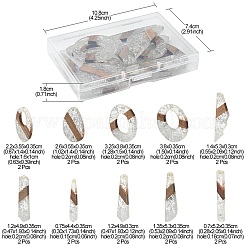 20pcs 10 estilos de resina transparente y colgantes grandes de madera de nogal&nbsp;RESI-YW0001-31