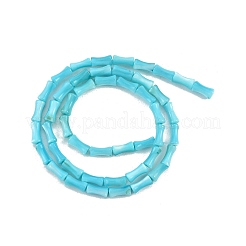 Eau douce naturelle de coquillage perles brins&nbsp;SHEL-G013-01D