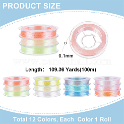 12 rotolo di filo da ricamo in policotone a 12 strati a 1 colori (cotone poliestere).&nbsp;TOOL-WH0051-64A