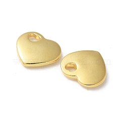 Ciondoli in acciaio inox 304&nbsp;LS-STAS-I330-031G