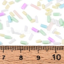 Accessories de décoration d'art d'ongle en argile polymère manuels&nbsp;CLAY-T022-07H