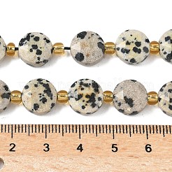 Natur Dalmatiner Jaspis Perlen Stränge&nbsp;G-G271-C01-10mm