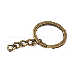 Llaveros divididas de hierro&nbsp;IFIN-H065-01AB