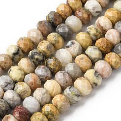 Natur verrückt Achat Perlen Stränge&nbsp;G-B179-A01-6x8mm