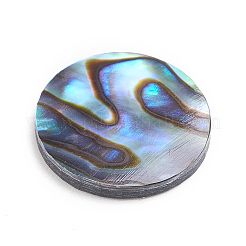Cabochons coquille d'ormeau naturel / coquille de paua&nbsp;LS-SSHEL-L017-001